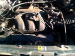 Driver Cylinder Head 6-183 3.0L Front Fits 01-04 Mazda Tribute 3241946. Fixed Price $50.00.