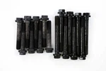 Engine Cylinder Head Bolt Set Pioneer S-173. Fixed Price $79.99.