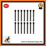 For Bmw M3 Csl Z3 Z4 3.2 E46 E36 E85 E86 S54B32 Reinz Head Bolts Brand New. Fixed Price $62.68.