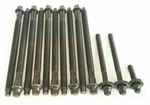 11+MINI COOPER/BASE/COUNTRYMAN/CLUBMAN/N16/R56/R55/R57/R60 Cylinder Head Bolts. Fixed Price $75.00.