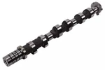Genuine Gm Driver Side Intake Camshaft 12677826. Fixed Price $103.69.