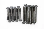 Pioneer Cables Engine Cylinder Head Bolt Set For Century, Regal+more S-173. Fixed Price $47.35.