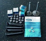Nos Ford C9AZ-6571-A Boss 429 Nascar Teflon Valve Stem Seals (16) Holman-moody. Fixed Price $129.00.