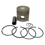 Piston Kit 20 Oversized Ford Holland E0NN6108AA. Fixed Price $93.10.