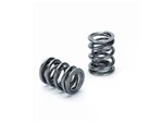 Supertech Fits Honda K20/K24/F20C1/F22C1 Dual Valve Spring - Set Of 16. Fixed Price $309.01.