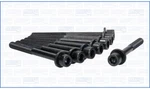Genuine Ajusa Oem Replacement Cylinder Head Bolt Set One Side 81047800. Fixed Price $85.49.