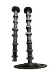 2013-2014 Vw Touareg Audi Q7 3.0L Cnrb Tdi Diesel Left Camshaft Set Oem. Fixed Price $349.99.