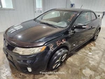 Cylinder Head 2.4L Fits 10-13 Forte 1324499. Fixed Price $100.00.