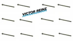 12 Set Of Cylinder Head Bolts For Volvo 1992+ - Victor Reinz. Fixed Price $47.49.