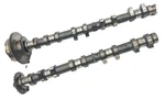 2005-2006 LR3 Range Rover Sport (L320) 4.4L V8 Left Engine Camshafts. Fixed Price $88.80.