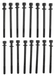 Mahle GS33670 Engine Cylinder Head Bolt Set. Fixed Price $91.12.
