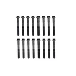 Beck Arnley 016-1012 Cylinder Head Bolt Set. Fixed Price $104.58.