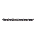 New Camshaft 66 67 68 69 Pontiac 230 250 Ohc 6-CYLINDER With 4-BBL Carburetor. Fixed Price $379.99.