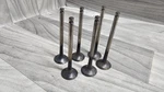 95-04 Tacoma 4RUNNER T100 3.4L 5VZ 6 Pcs Exhaust Valves Oem. Fixed Price $25.00.