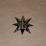 Bsa B40 Engine Timing Case Badge Emblem 350 41-0120. Fixed Price $32.00.