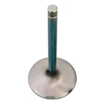 Brodix BR81138 Exhaust Valve. Fixed Price $42.99.