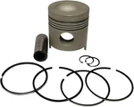 New 1109-1002 Piston Kit 20 Oversized Fits Ford Holland 3930 4600 4610 6600. Fixed Price $62.00.