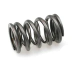 Brian Crower BC1040 Valve Spring (honda/acura K20A2/K20A/K24A2/F20C1/F22C1 Dual). Fixed Price $273.95.