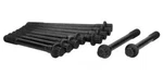 Engine Cylinder Head Bolt Set Ajusa 81014400. Fixed Price $62.78.