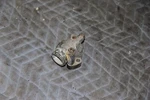 Porsche 944S Water Neck Coolant Inlet Housing 94410430801. Fixed Price $29.44.