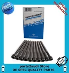 Reinz Cylinder Head Bolts Audi A3,A4,TT, Eos, Gti, Jetta, Passat 2.0T 06D103385D. Fixed Price $42.50.