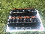 1987-1995 Ford Mustang 5.0L Roush Windsor Sr (iron) Cylinder Heads Cobra Gt Lx. Fixed Price $2250.00.