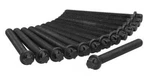 Engine Cylinder Head Bolt Set Ajusa 81029600. Fixed Price $58.99.